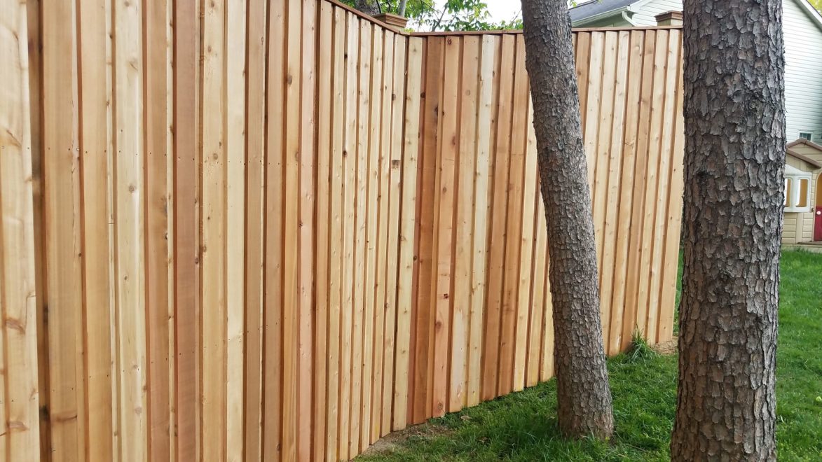 cedar board board & batten - 8 feet high cedar board board & batten fencing - 20200508_134654